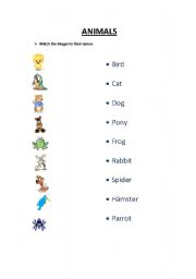 English worksheet: Animals