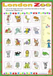 English Worksheet: London Zoo