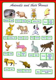 English Worksheet: Animals and their homes. Part 1 of 2 **fully editable