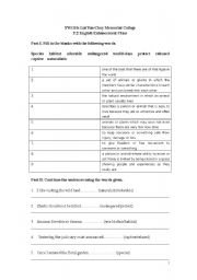 English Worksheet: Vocabulary