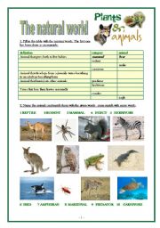 English Worksheet: The natural world