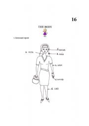 English Worksheet: The body