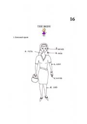 English worksheet: The body