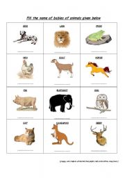 English Worksheet: Babies of animals