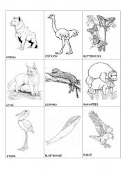 English worksheet: animals in danger(1)