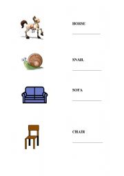 English Worksheet: Fast & Slow; Hard & Soft