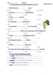 English worksheet: GRAMMER TEST