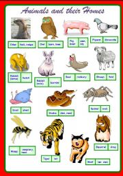 Animals And Homes Chart