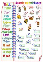 English Worksheet: Animals and their homes Part 2/2 **fully editable