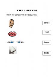 English worksheet: 5 senses