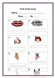 English worksheet: Part of the body