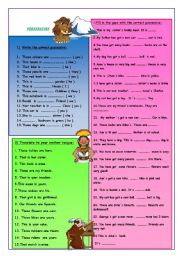 English Worksheet: POSSESSIVES