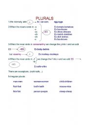 English Worksheet: plurals