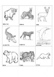 English worksheet: animals in danger(2)