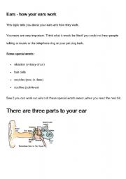 English worksheet: How the ear works