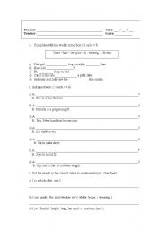 English Worksheet: mixed activity