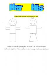 English Worksheet: HER , HIS