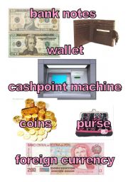 English Worksheet: money