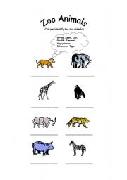 English worksheet: Zoo Animals