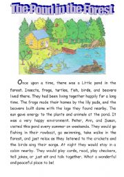 English Worksheet: The pond in the forest