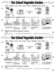 English Worksheet: Our School VEGETABLE GARDEN