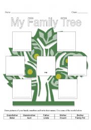 English Worksheet: Draw your family tree
