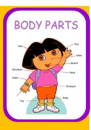 English Worksheet: Parts of the body