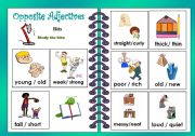 English Worksheet: Opposite Adjectives