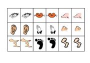 English Worksheet: body parts memory
