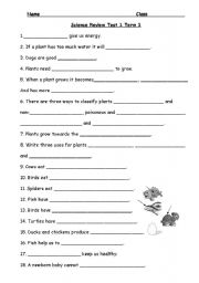 English worksheet: Science Review Grade 2