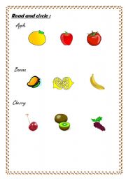 English Worksheet: read and circle