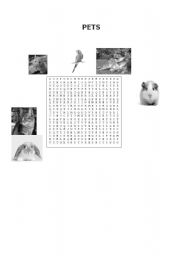 English Worksheet: Pets wordpuzzle