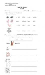 English worksheet: OUR BODY