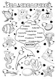 English Worksheet: Sea creatures 