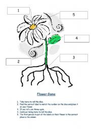 Parts of a flower game