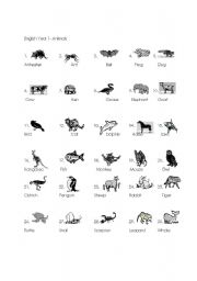 English worksheet: Animals