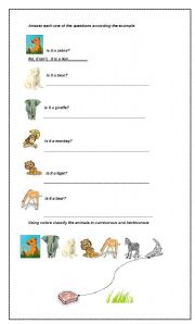 English Worksheet: Questions using to be