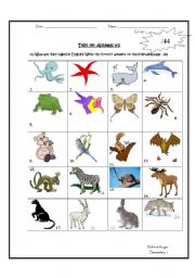 English worksheet: Test on Animals