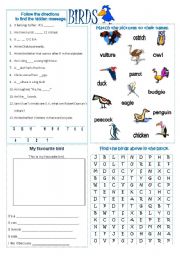 English Worksheet: Types of Animals: Birds