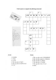 English Worksheet: Opposite adjectives crosswords