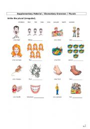 English Worksheet: Plurals (2) - Irregular forms + Revision