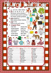 English Worksheet: Plural Number