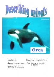 English worksheet: Describing animals (SPEAKING CARD)