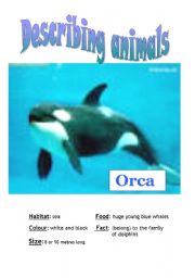 English Worksheet: Describing animals (SPEAKING CARD)