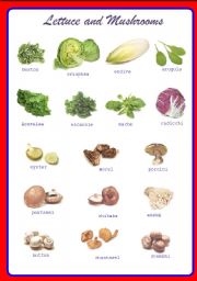 English Worksheet: Lettuce and Mushrooms ** fully editable