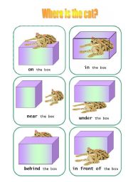 English Worksheet: Preposition of place (editable, B&W version incl.)