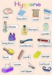 English Worksheet: Hygiene Poster