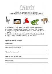 English worksheet: Animals