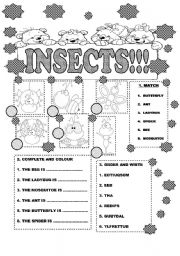 INSECTS FOR LITTLE KIDS/ GET FUN