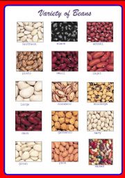 English Worksheet: Variety of Beans ** fully editable